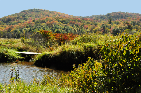 fall colors in Banner Elk